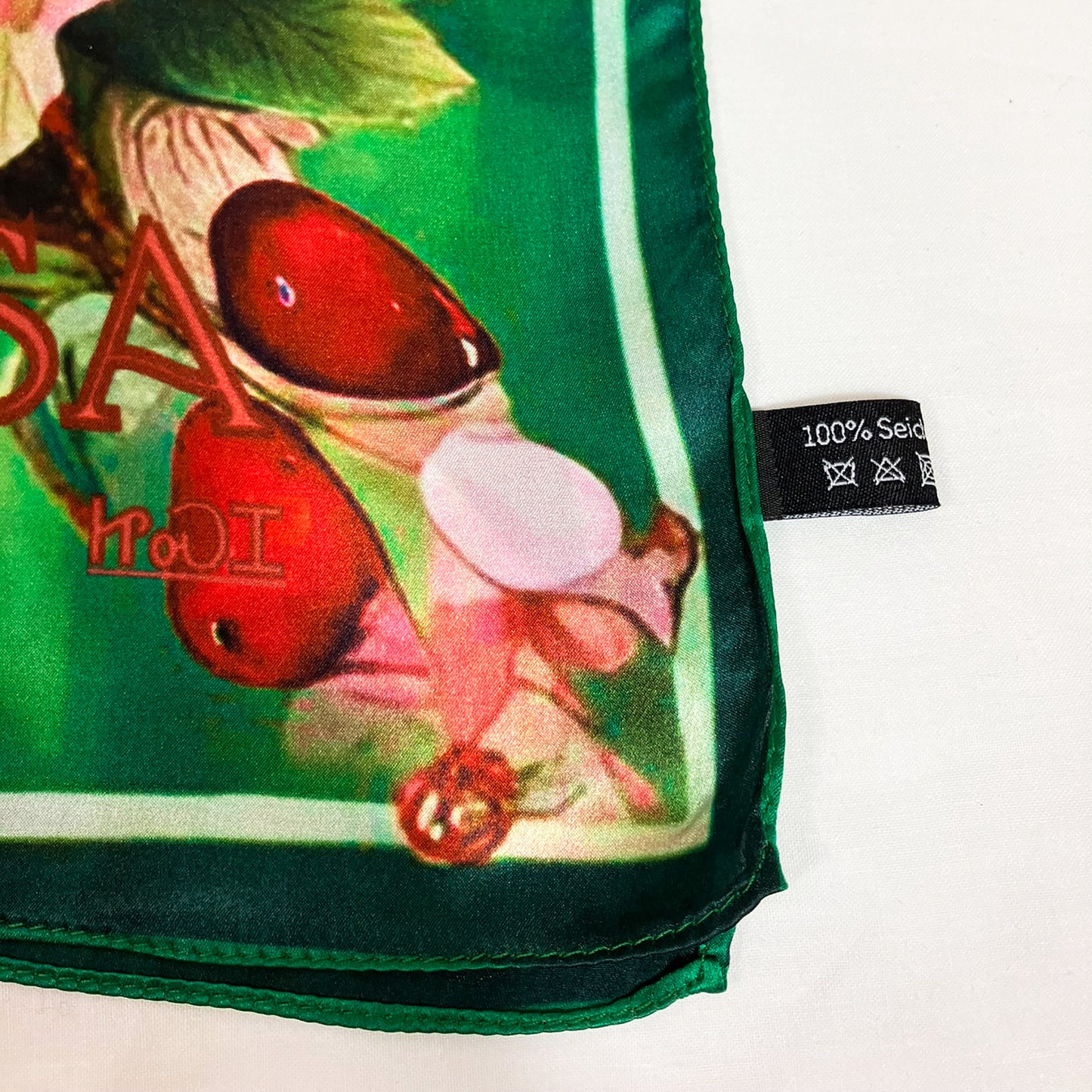 Pañuelo 100 % seda - Maison AKÅSA Biarritz - ᏥᏍᏆ - Tsiqua (Le Pic Vert)